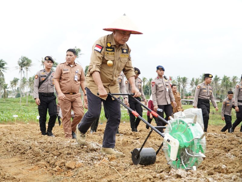 Gubernur Jambi Al Haris Dukung Program Swasembada Pangan. (Dok. Kominfo Provinsi Jambi)