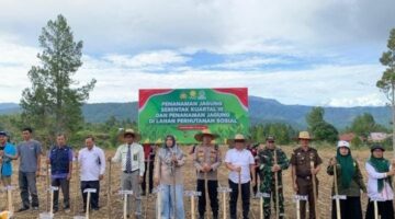 Gayo Lues Bergerak: Kapolres dan Forkopimda Sukses Gelar Penanaman Jagung Serentakuntuk Swasembada Pangan 2025