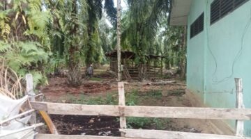 Diduga Dana Ketahanan Pangan Mar-up di Desa Pulo Belen, Warga Minta APH Audit Rekening Desa