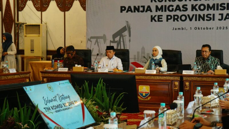 Al Haris Berdialog Bersama Panitia Kerja (Panja) Komisi XII DPR RI