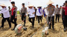 Gubernur Jambi Al Haris dan Kapolda Jambi Krisno H. Siregar Melakukan Penanaman Jagung Serentak