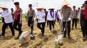 Gubernur Jambi Al Haris dan Kapolda Jambi Krisno H. Siregar Melakukan Penanaman Jagung Serentak