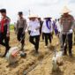 Gubernur Jambi Al Haris dan Kapolda Jambi Krisno H. Siregar Melakukan Penanaman Jagung Serentak