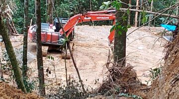Guna Ekskavator di Hutan Lindung Tanpa Izin Produksi, PT GMR Berpotensi Hadapi Sanksi Pidana hingga 15 Tahun Penjara
