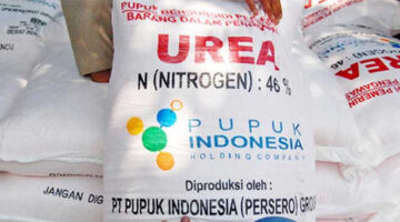 Harga Pupuk Urea di Aceh Tenggara Masih Melebihi HET, Pemkab Segera Verifikasi