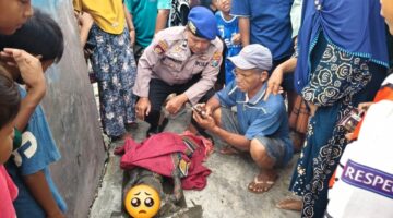 Balita Hilang Misterius di Petamanan Ditemukan Tewas Mengapung di Laut Pasuruan