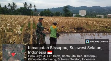 Babinsa Kelurahan Bonto Rita Laksanakan Pendampingan Hanpangan (LTT) di Wilayah Binaan