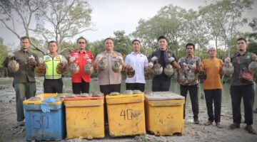 Tindak Tegas Pelaku Perdagangan Satwa Dilindungi, Polres Batu Bara Lepasliarkan Ratusan Belangkas ke Habitat Alami