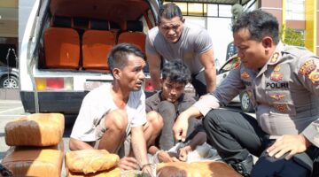 Sat Intelkam Polres Aceh Tenggara Gagalkan Peredaran 50,7 Kg Ganja, Amankan Dua Pelaku