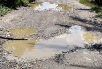 Foto Istimewa Keadaan Jalan Desa Bukit Mas dan Kelurahan Pekan Besitang (21/2/2026)