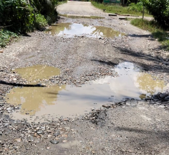 Foto Istimewa Keadaan Jalan Desa Bukit Mas dan Kelurahan Pekan Besitang (21/2/2026)