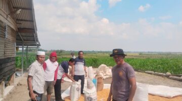 Polres Batu Bara Optimalkan Potensi Lokal, 12 Ton 237 Kg Jagung Disalurkan ke Bulog Demi Ketahanan Pangan