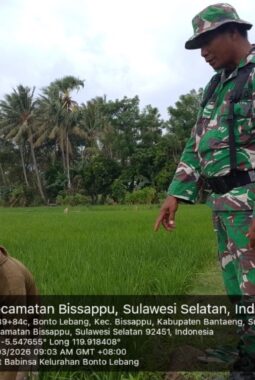 berita-rekomendasi-foto