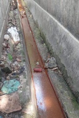 berita-rekomendasi-foto