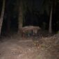 Dokumentasi Foto Kegiatan Polsek Tanjung Pura Bongkar Sarang Narkoba (30/3/2026)