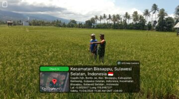 Dorong Produktivitas Petani, Babinsa Lakukan Monitoring Lahan Padi di Bisappu