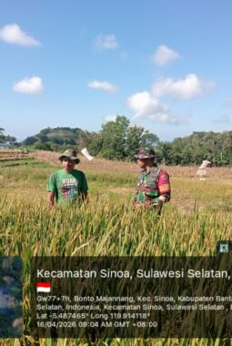 berita-rekomendasi-foto