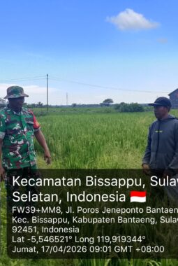 berita-rekomendasi-foto