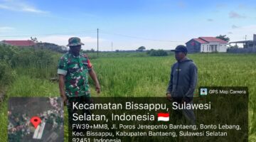 Babinsa Bonto Lebang Laksanakan Pendampingan Hanpangan di Lahan Persawahan Warga