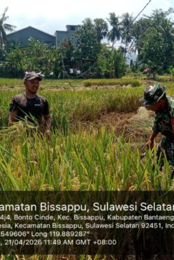 berita-rekomendasi-foto