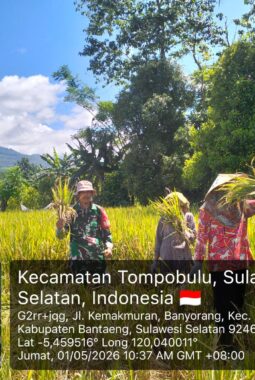 berita-rekomendasi-foto