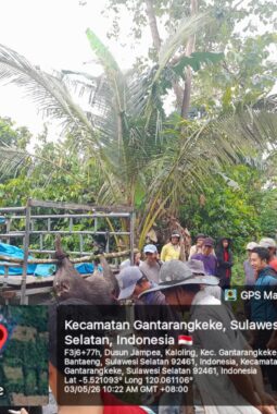 berita-rekomendasi-foto