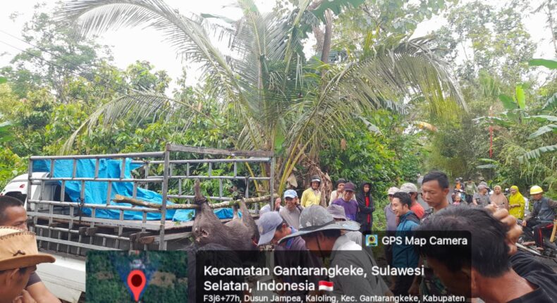 foto slider headline