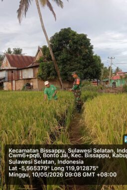 berita-rekomendasi-foto