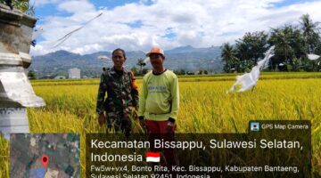 Babinsa Bonto Rita Intensif Dampingi Petani, Pastikan Ketahanan Pangan Tetap Terjaga