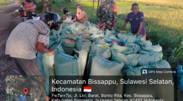Dukung Ketahanan Pangan Nasional, Babinsa Bonto Rita Monitoring Panen Dan Pastikan Harga Gabah Tetap Stabil