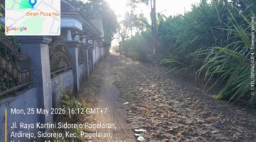 Perjudian 303 PAL Sabung Ayam di Wilayah Hukum Polres Malang – Polda Jatim Kebal Hukum
