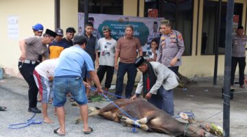 Momentum di Hari Raya Idul Adha 1447 H, Polres Bantaeng Sembelih 7 Ekor Sapi