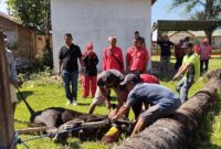 Dokumentasi Foto Kegiatan Qurban Idul Adha DPC PDIP di Sekretariat