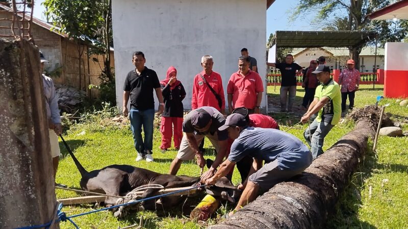 Dokumentasi Foto Kegiatan Qurban Idul Adha DPC PDIP di Sekretariat 