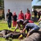 Dokumentasi Foto Kegiatan Qurban Idul Adha DPC PDIP di Sekretariat 