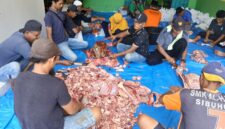 Dokumentasi Foto Kegiatan Pemotongan Hewan Qurban di Kantor Sekretariat BAZNAS Kabupaten Langkat Kamis (28/5/2026)