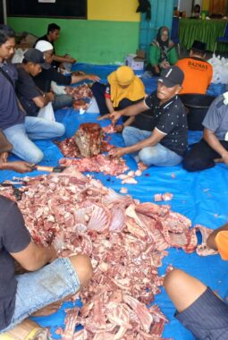 berita-rekomendasi-foto