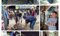 berita-pilihan-foto