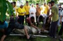 Dokumentasi Foto Pemotongan Hewan Qurban di Kantor DPD Golkar Kabupaten Langkat Jumat(29/5/2026)