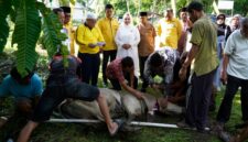 Dokumentasi Foto Pemotongan Hewan Qurban di Kantor DPD Golkar Kabupaten Langkat Jumat(29/5/2026)