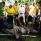 Dokumentasi Foto Pemotongan Hewan Qurban di Kantor DPD Golkar Kabupaten Langkat Jumat(29/5/2026)