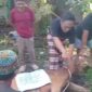 Dokumentasi Foto Kegiatan Partai Solidaritas Indonesia Terbar Hewan Qurban di Kabupaten Langkat diwakili Juru Bicara Maulana Madudi