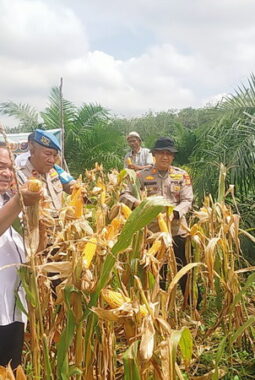 berita-rekomendasi-foto