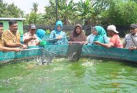 Dokumentasi Foto Kegiatan Kunjungan Ketua PKK Kabupaten Langkat Nyonya Endang Syah Afandin di Desa Perdamaian Kecamatan Binjai 