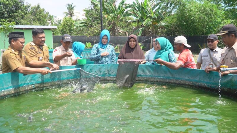 Dokumentasi Foto Kegiatan Kunjungan Ketua PKK Kabupaten Langkat Nyonya Endang Syah Afandin di Desa Perdamaian Kecamatan Binjai 
