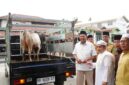 Dokumentasi Foto Kegiatan Pemberian Hewan Qurban di Kampung Besilam 