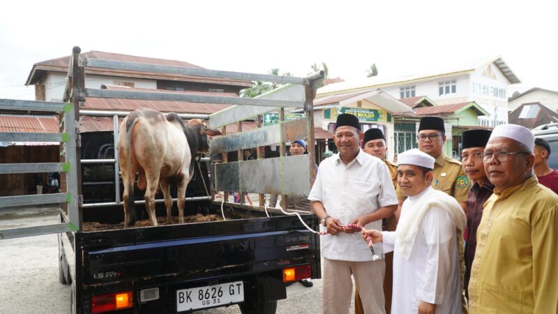 Dokumentasi Foto Kegiatan Pemberian Hewan Qurban di Kampung Besilam 
