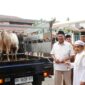 Dokumentasi Foto Kegiatan Pemberian Hewan Qurban di Kampung Besilam 