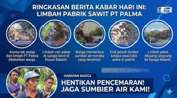 PT Palma Sumber Lestari di Pasangkayu: Praktik Bisnis Sawit yang Merusak Lingkungan dan Merenggut Hak Warga