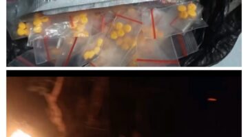 BEREDAR VIDEO PEMBAKARAN GUBUK DIDUGA LOKASI PEREDARAN OBAT GOLONGAN G DI KEMIRI, WARGA DESAK APARAT USUT TUNTAS